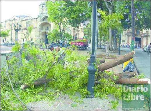 Vices&iacute;ndica defiende sustituci&oacute;n de &aacute;rboles de la capital.
